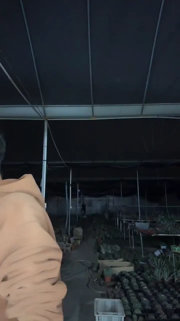 我****子海神八颗