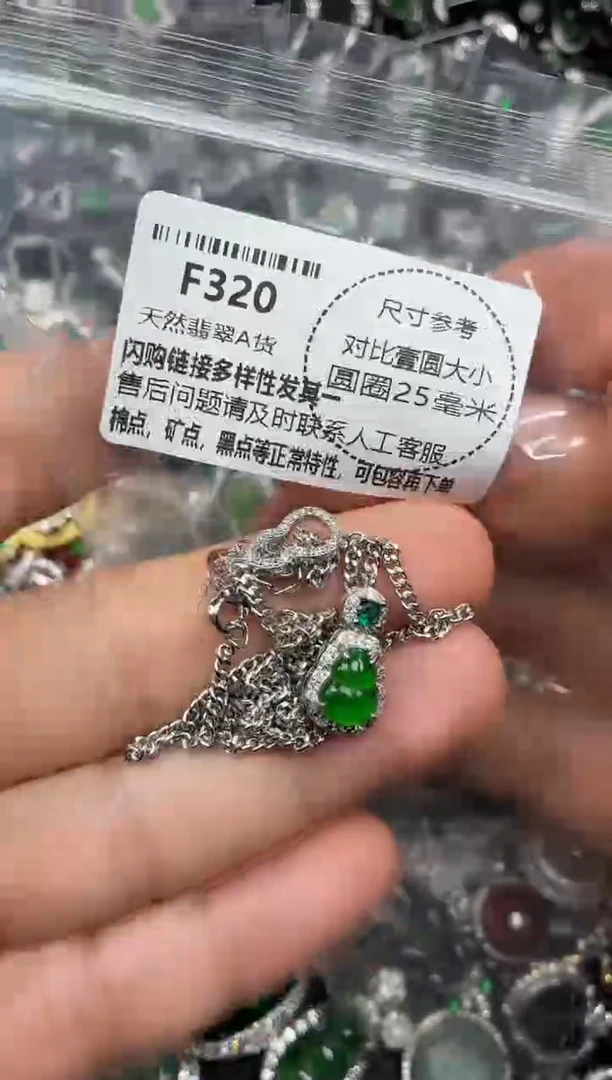 颈饰未镶嵌翡翠F320项链