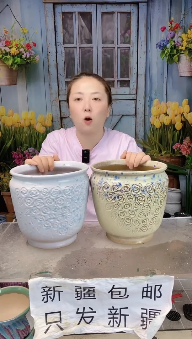 023白黄小花陶盆两个装 口19高20