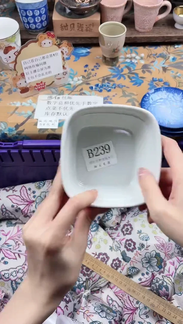瓷片大*王                B239