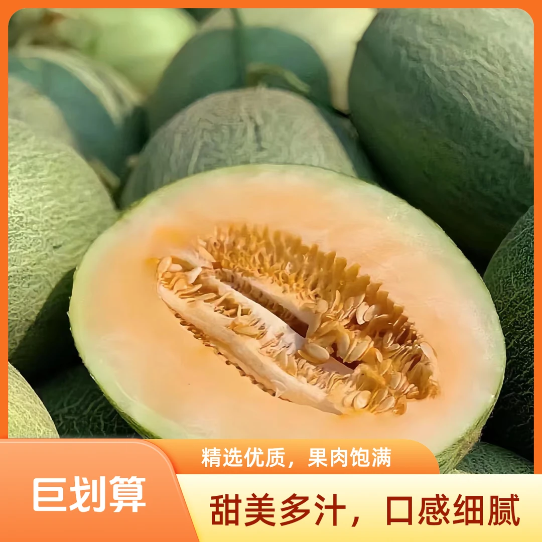 海南哈密瓜脆甜爽口新鲜甜瓜水果小蜜25头茬瓜脆甜多汁沙地瓜好吃