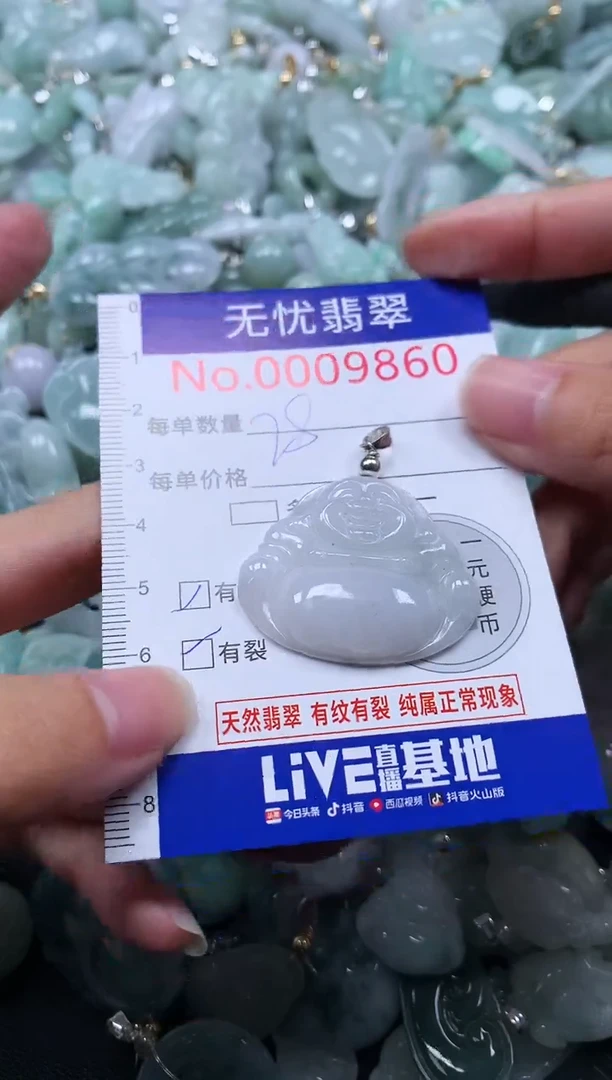 颈饰未镶嵌翡翠9860