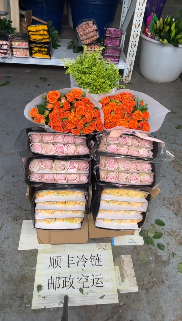 香槟20枝+粉红20枝+橙色芭比10枝+黄莺