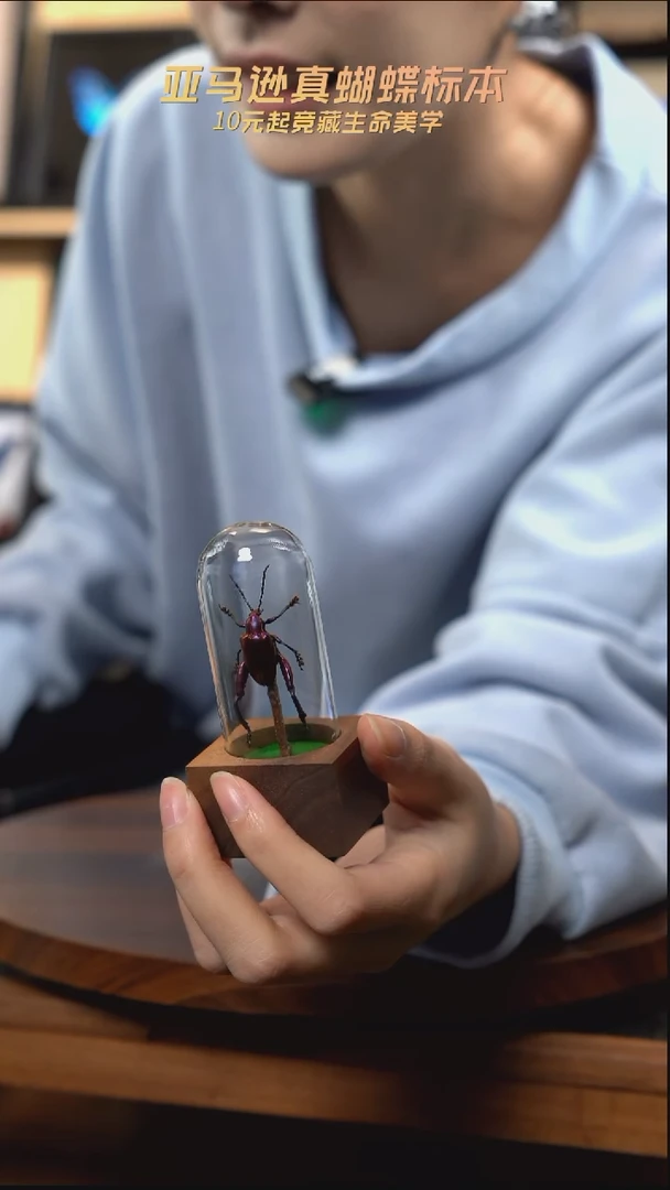 紫茎甲胡桃木试管款