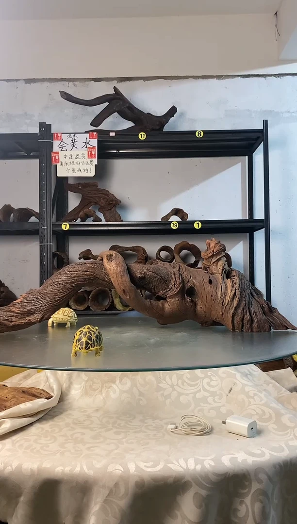 乐*驴鱼缸爬宠造景素材378443