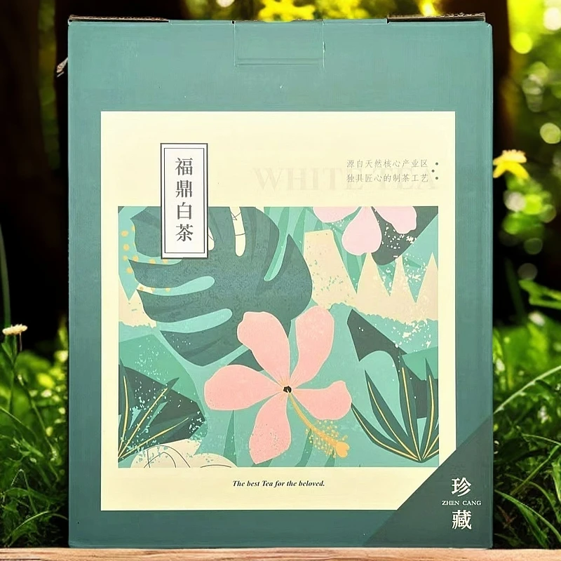 【1斤梅子香】15年磻溪老白茶花果香蜜韵香甜可闷煮珍藏正宗500g