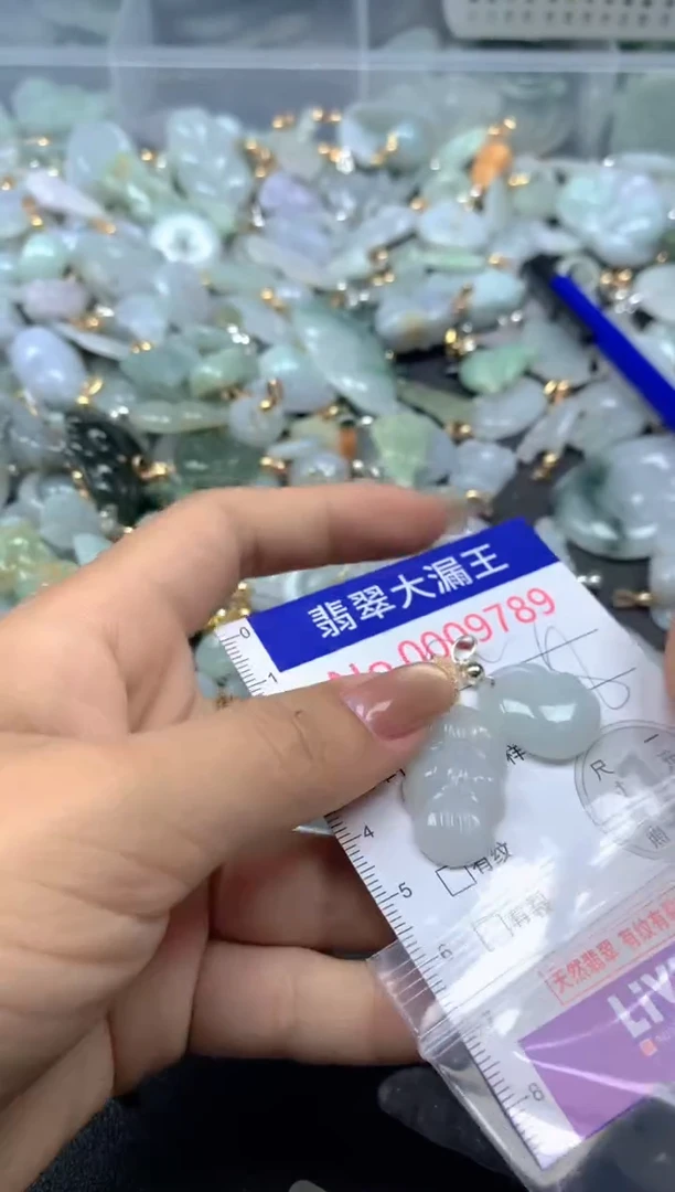 颈饰未镶嵌翡翠9789