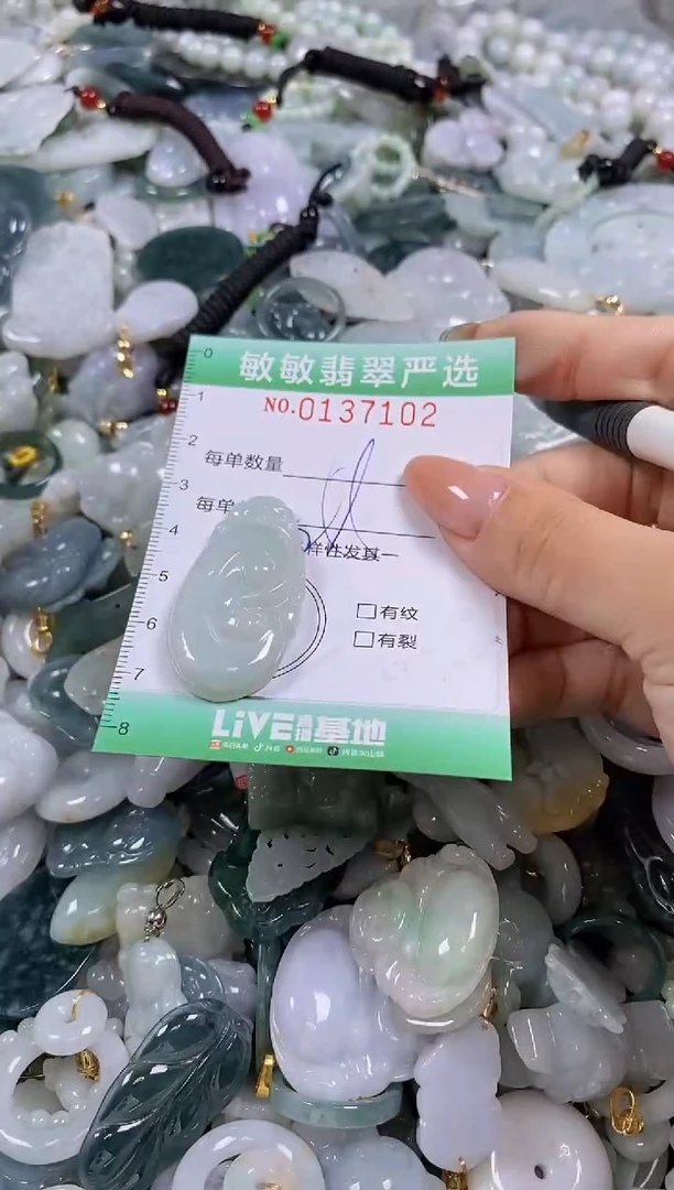 【闪购商品】翡翠颈饰未镶嵌闪购0137102