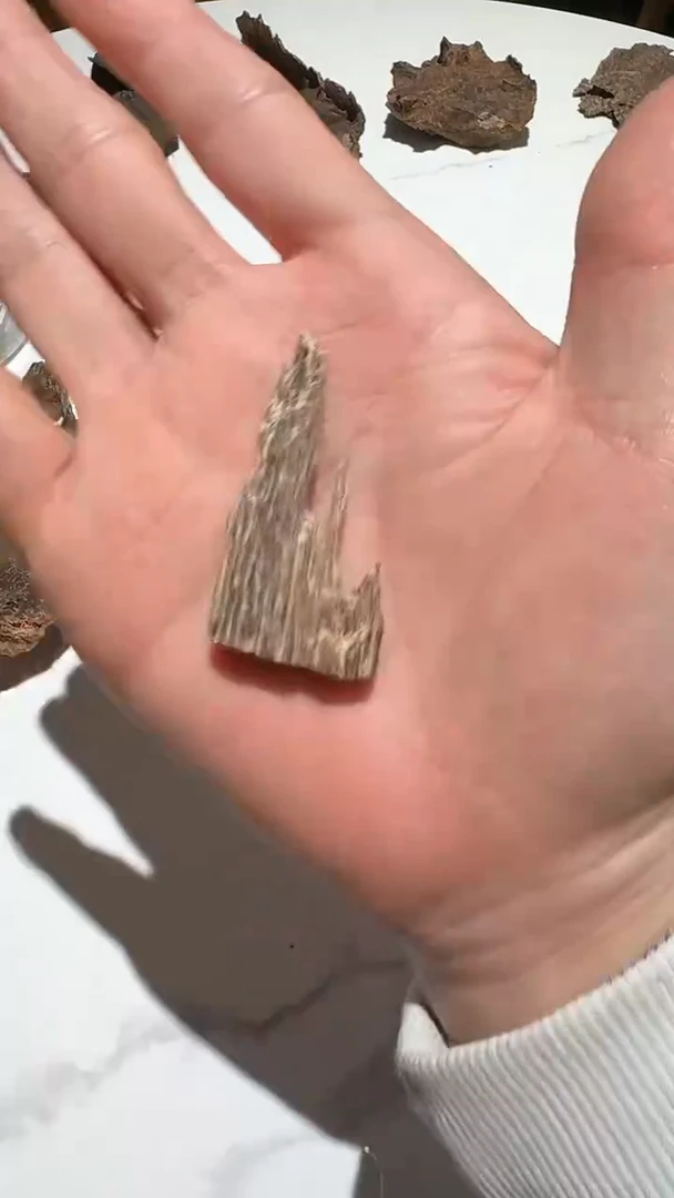 【闪购商品】沉香手把件海南吊口2.3g