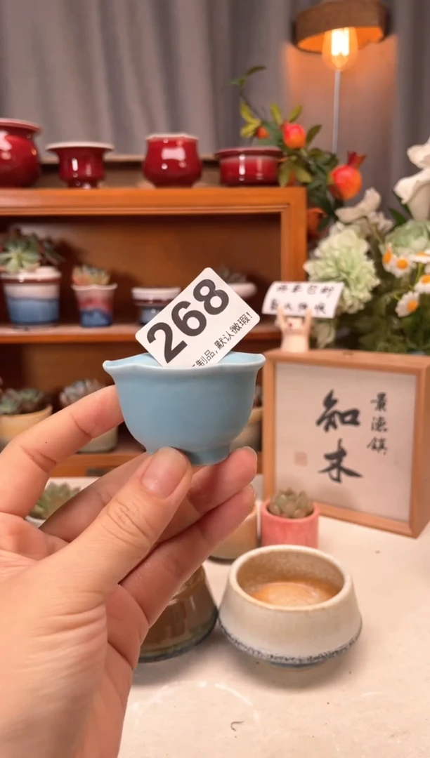 瓷片268知木小芳花盆直播编号