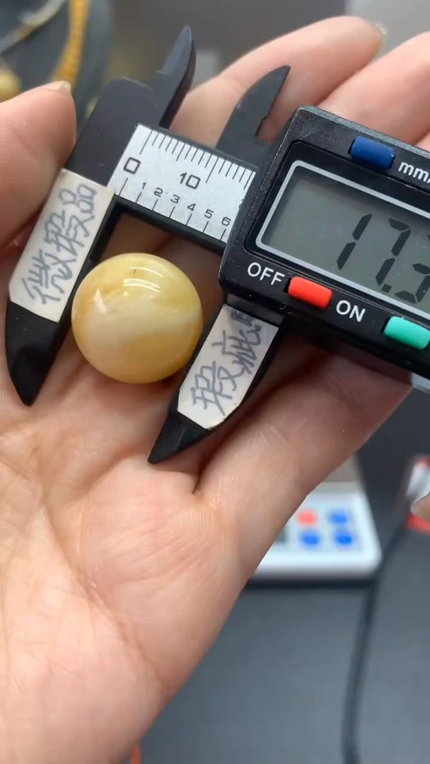 未镶嵌琥珀珠宝奇石1864