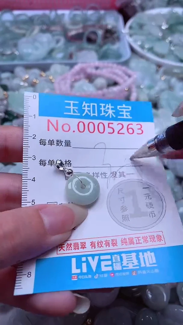 翡翠未镶嵌吊坠(不含链)5263