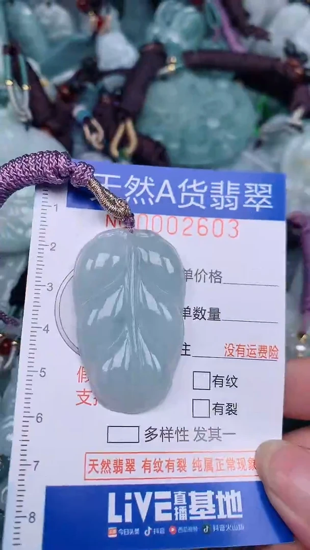 翡翠未镶嵌颈饰...0002603