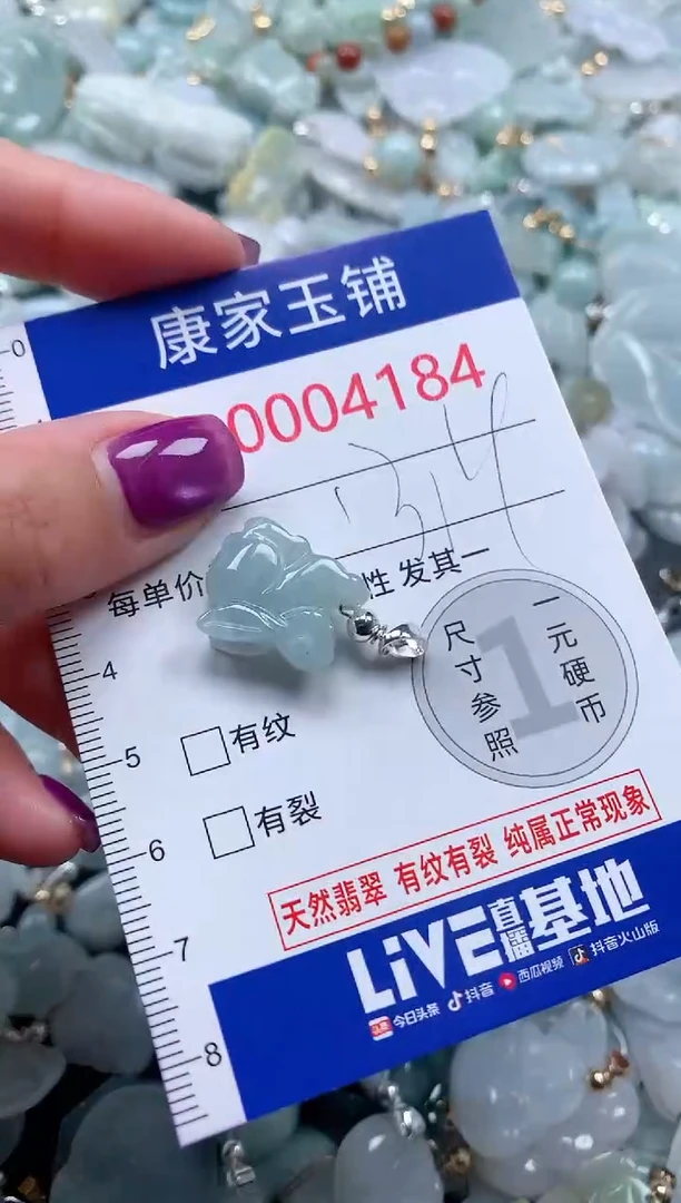 颈饰未镶嵌翡翠4184
