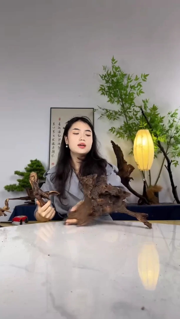 老*友拍这个定向编号74
