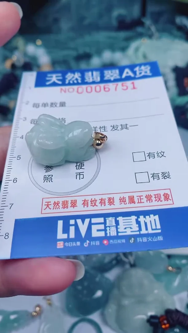 颈饰未镶嵌翡翠00006751