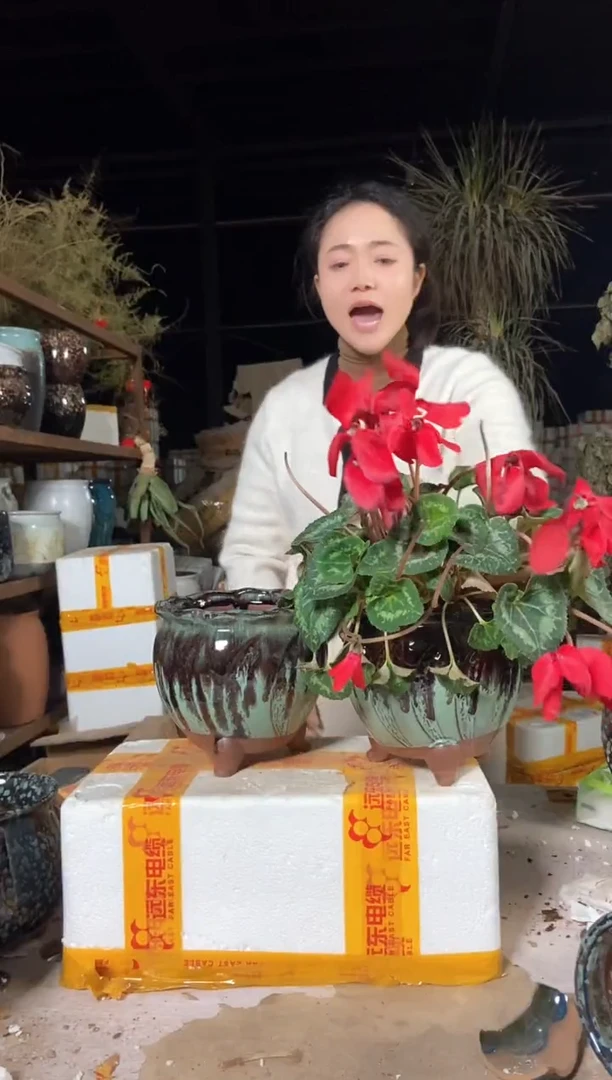 【闪购商品】无铅玻璃16*16