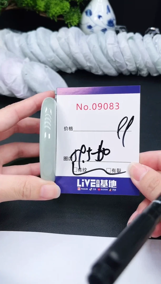 未镶嵌手镯翡翠9083