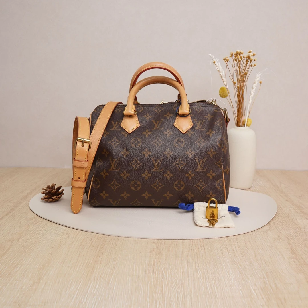 95新 LouisVuitton/路易威登 speedy25老花芯片款/DS042857