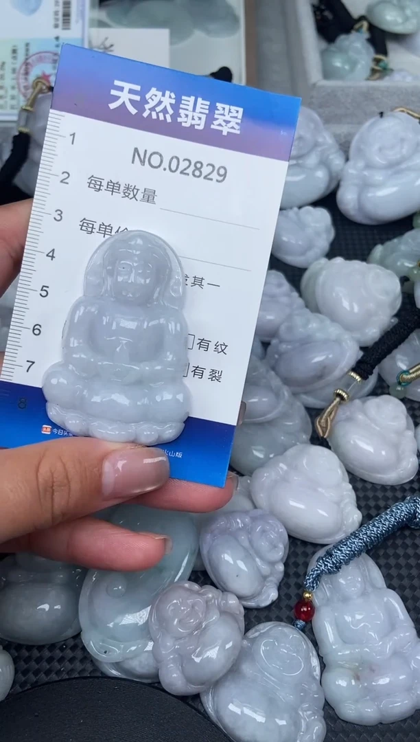 颈饰未镶嵌翡翠纯天然A货翡翠2829