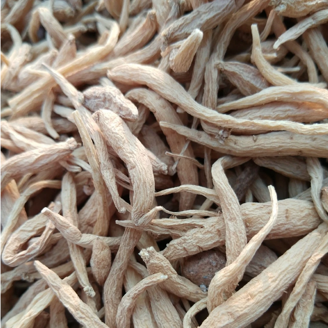 云南深山老林太子参