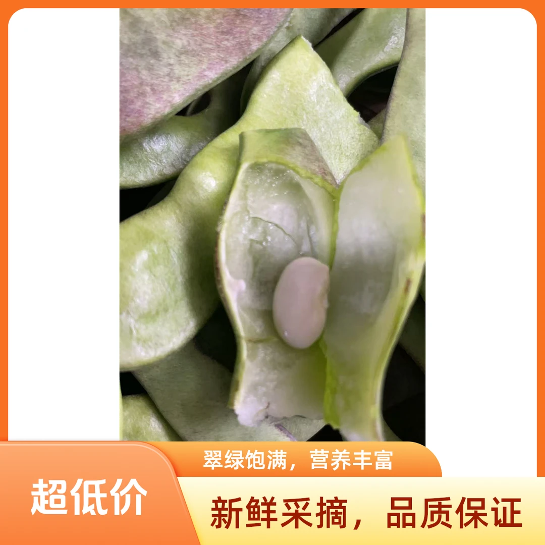 东北新鲜现摘油豆角开锅即烂口感鲜美