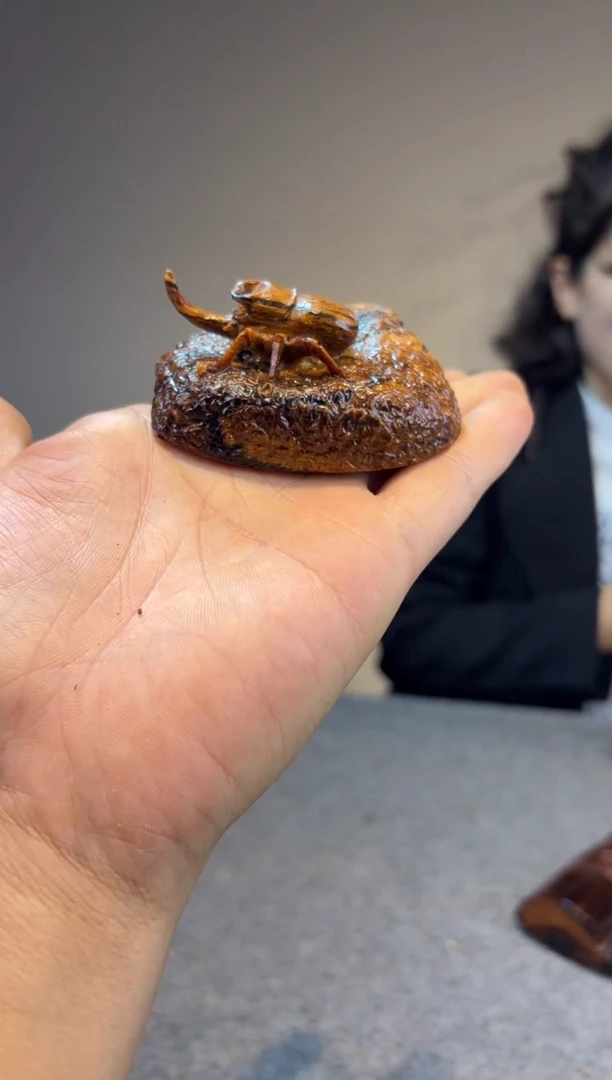 贡木一*贡木贡木贡木