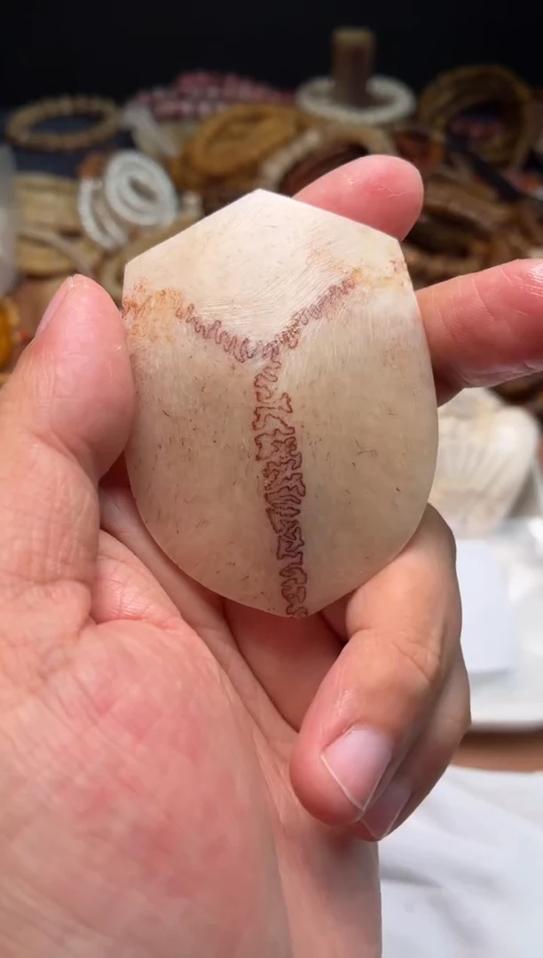 鹿骨其他母鹿三界A40