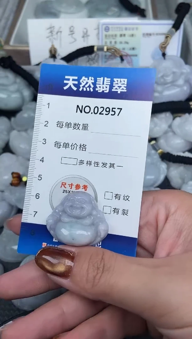 颈饰未镶嵌翡翠纯天然A货翡翠2957