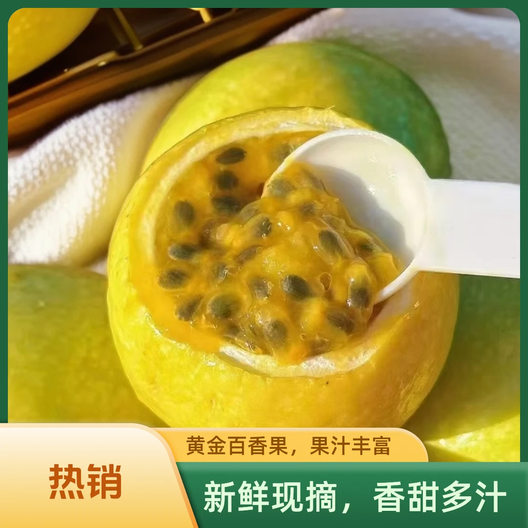 贵州榕江新鲜当季钦蜜9号百香果纯甜富含维C