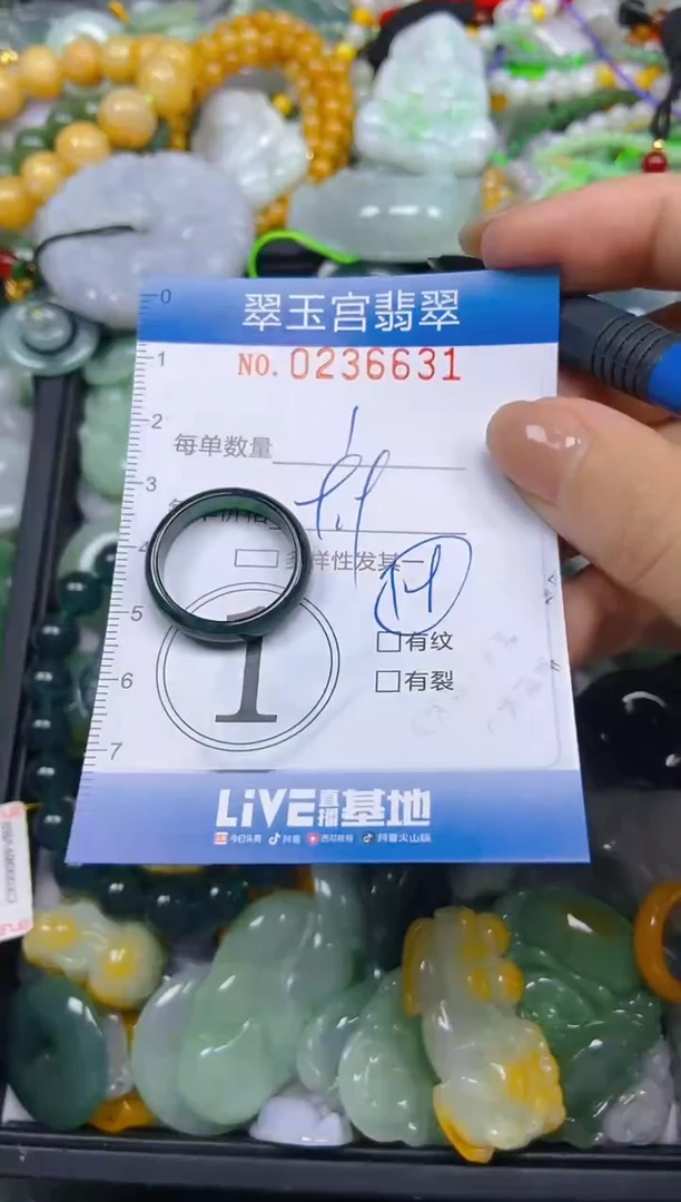 颈饰未镶嵌翡翠闪购C0236631