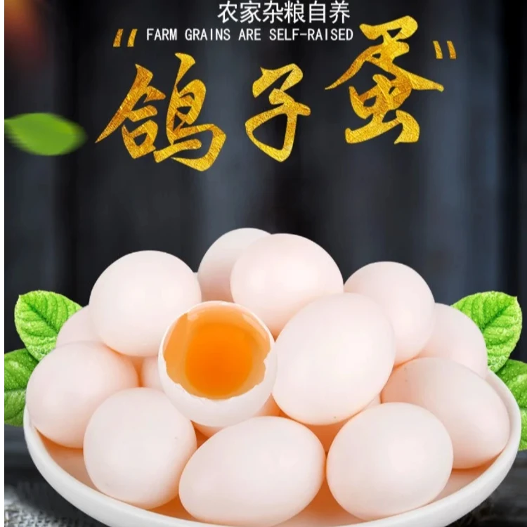 新鲜杂粮鸽子蛋30枚60枚鸽棚直发宝宝孕妈老人的营养品