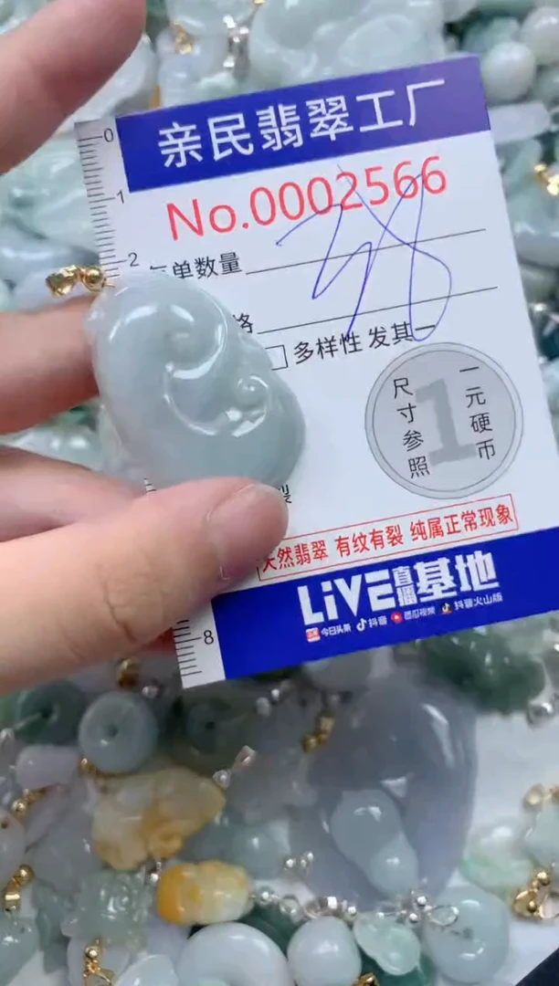 颈饰未镶嵌翡翠2566