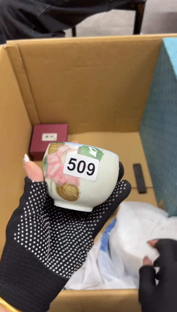 轻**生509中古商品谨慎参拍