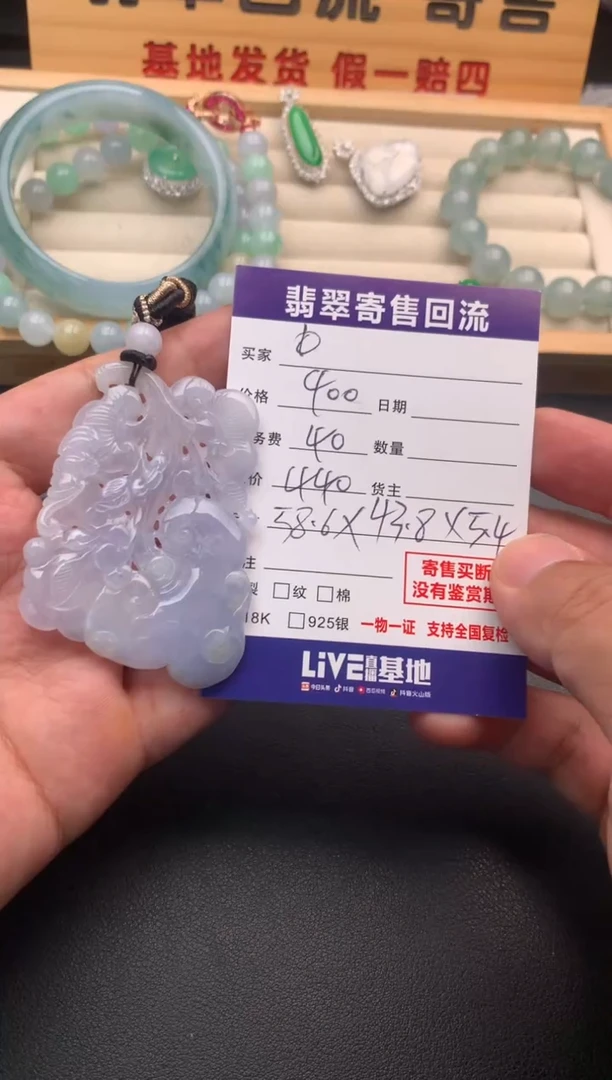 翡翠未镶嵌颈饰10132254