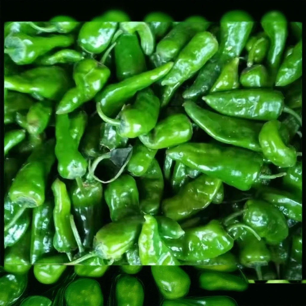 广东余干辣椒小子弹露天种植特辣土辣椒产地直发当季蔬菜源头直供