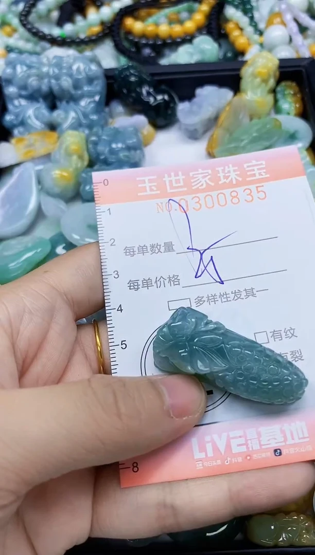 翡翠未镶嵌颈饰闪购0300835