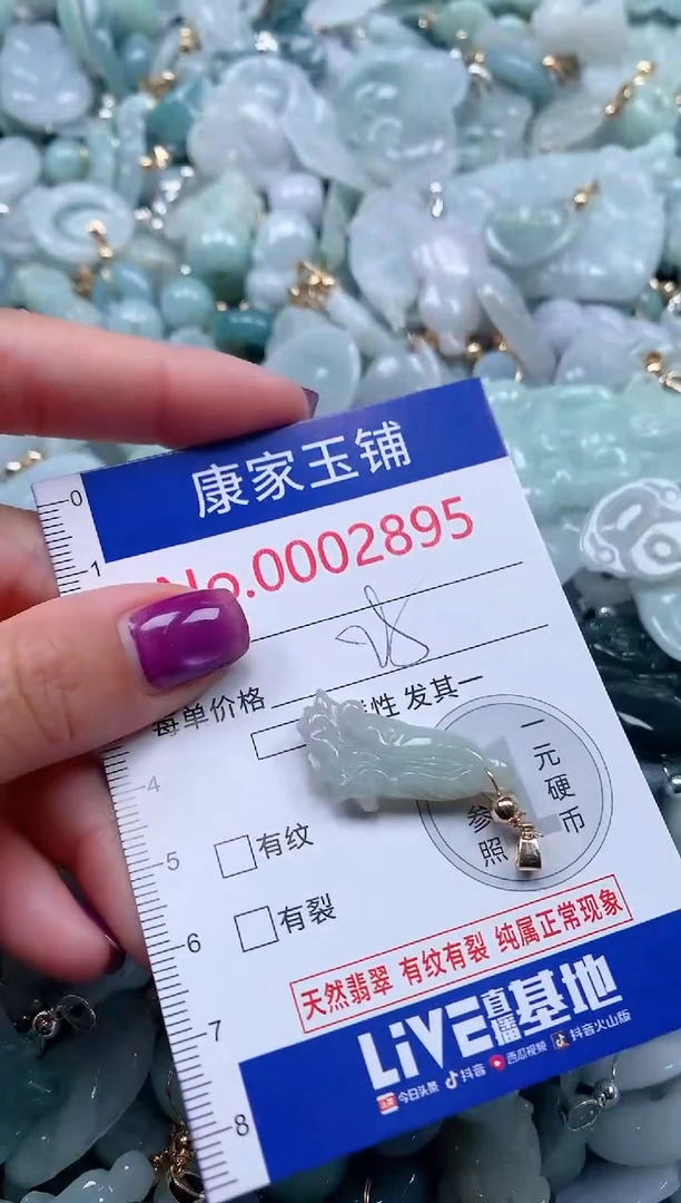 颈饰未镶嵌翡翠2895