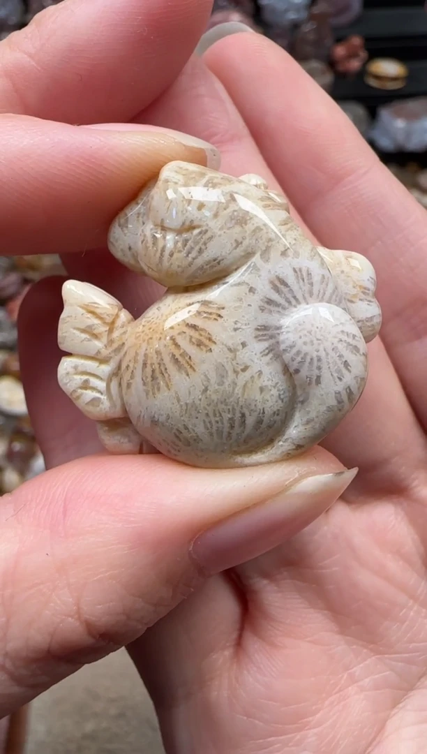 颈饰未镶嵌硅化珊瑚（珊瑚玉）258