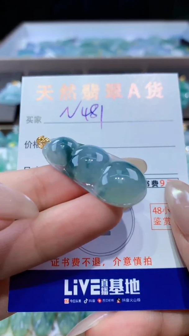 颈饰未镶嵌翡翠天然翡翠A货挂件