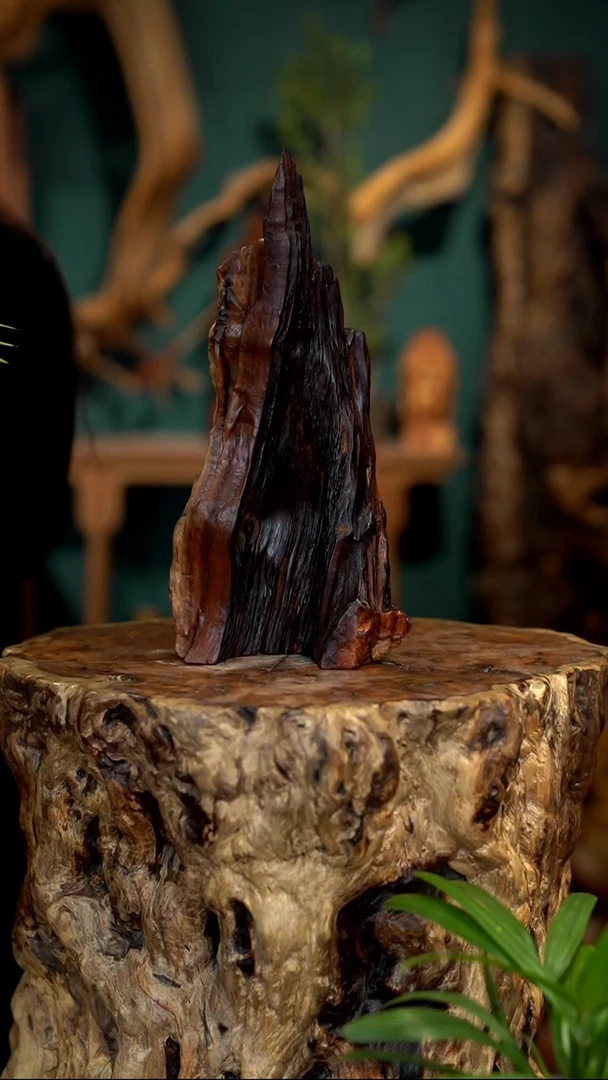 木雷击枣木半壁江山