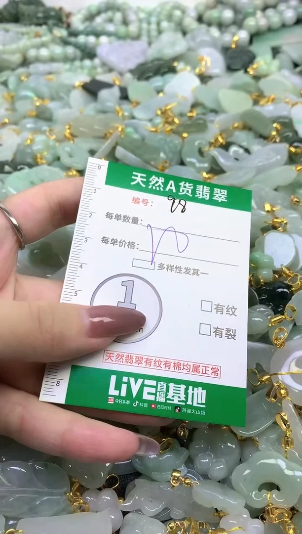 颈饰未镶嵌翡翠天然缅甸A货翡翠