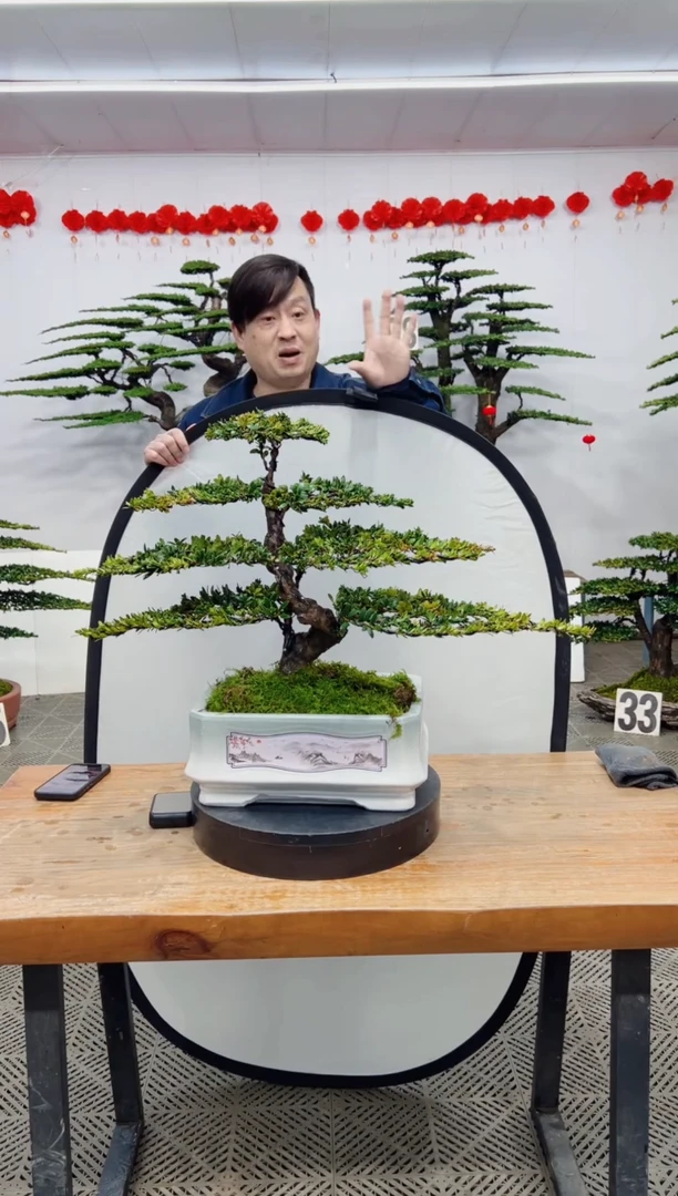 【闪购商品】盆景盆景