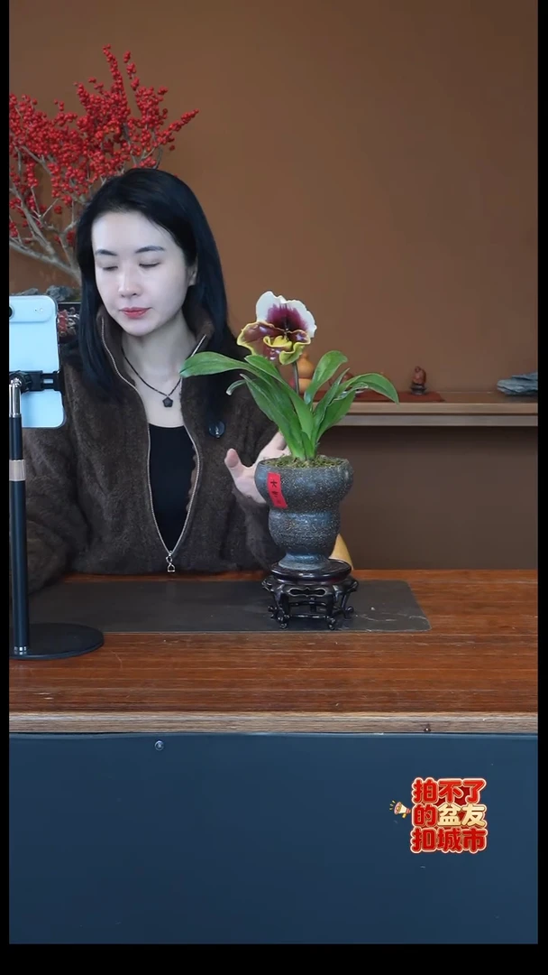 全部花朵葫芦红肉饼