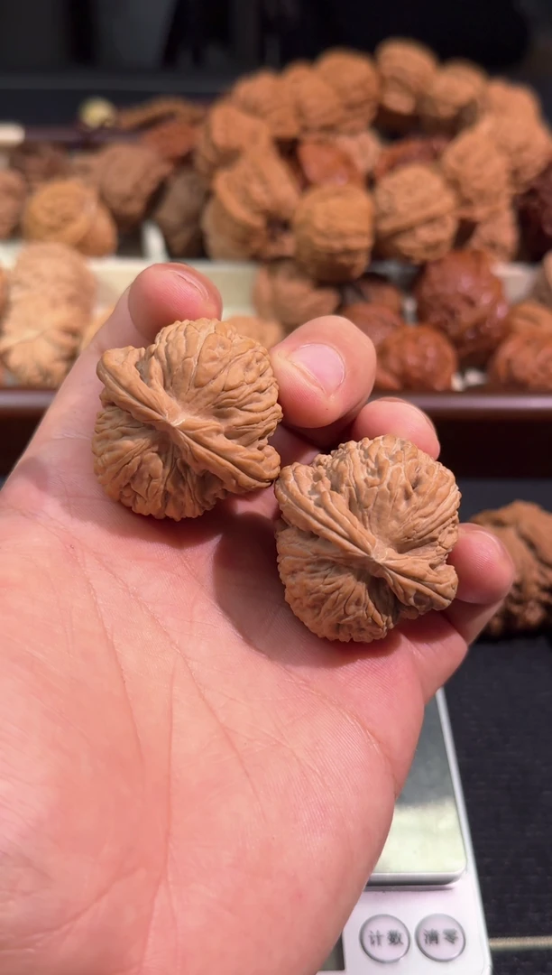 012  40球白全品