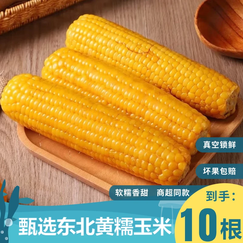 【试吃两根】甄选稻田正宗东北黄糯玉米10根营养十月软糯甜糯真空