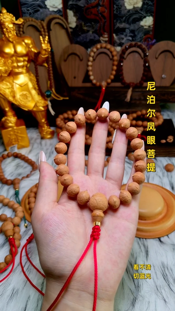 手串凤眼菩提12单仓子
