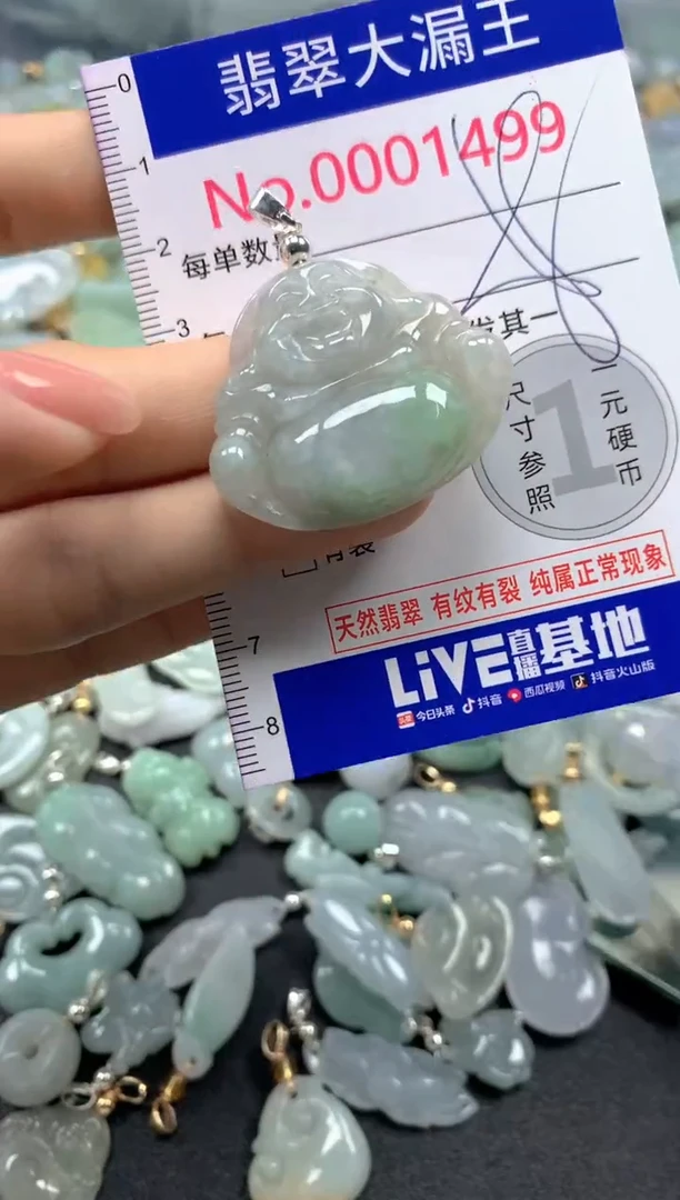 颈饰未镶嵌翡翠1499