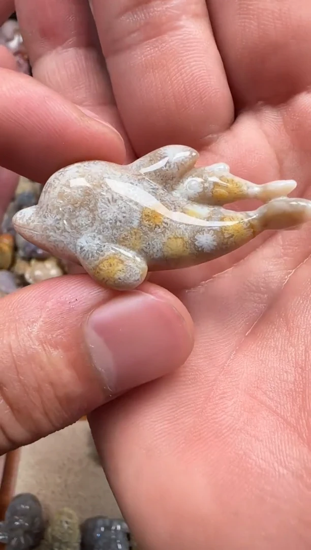 【闪购商品】硅化珊瑚（珊瑚玉）颈饰未镶嵌558