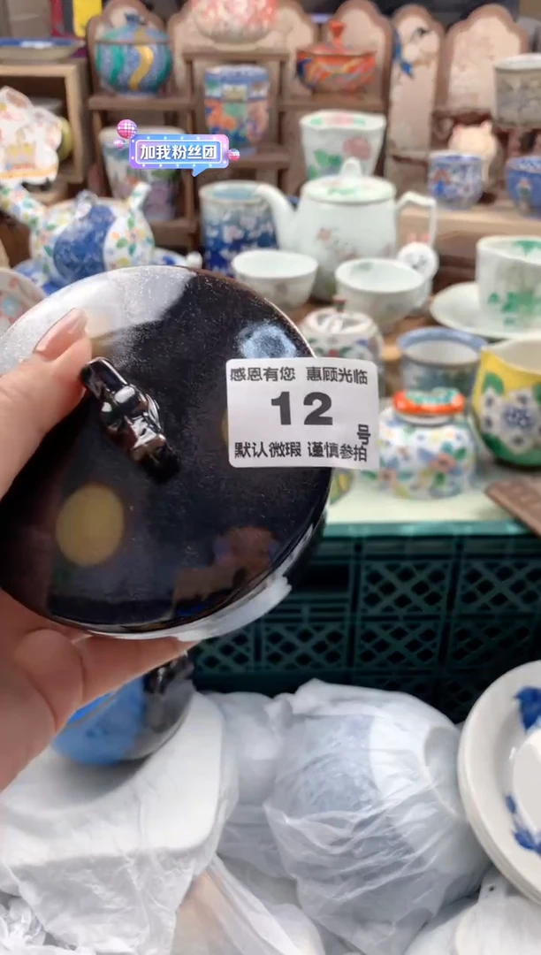 瓷片杨**轶12号九姑娘工艺品瓷器